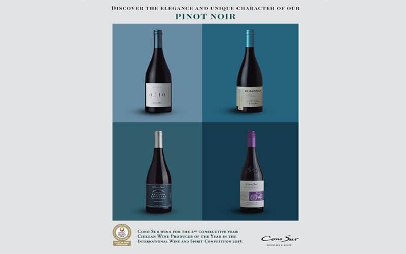 コノスルの強みは「ピノ・ノワール」！（酒販ニュース2027号（2019/8）掲載記事より