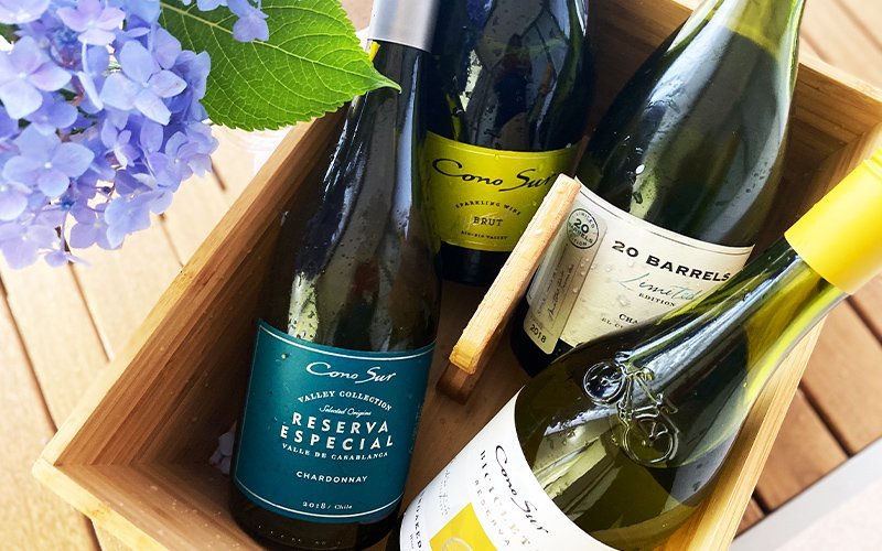 これが同じ品種？七変化するシャルドネに一同びっくり！コノスル4種シャルドネ飲み比べ 〜コノスル・オンライン飲み会Part 3〜