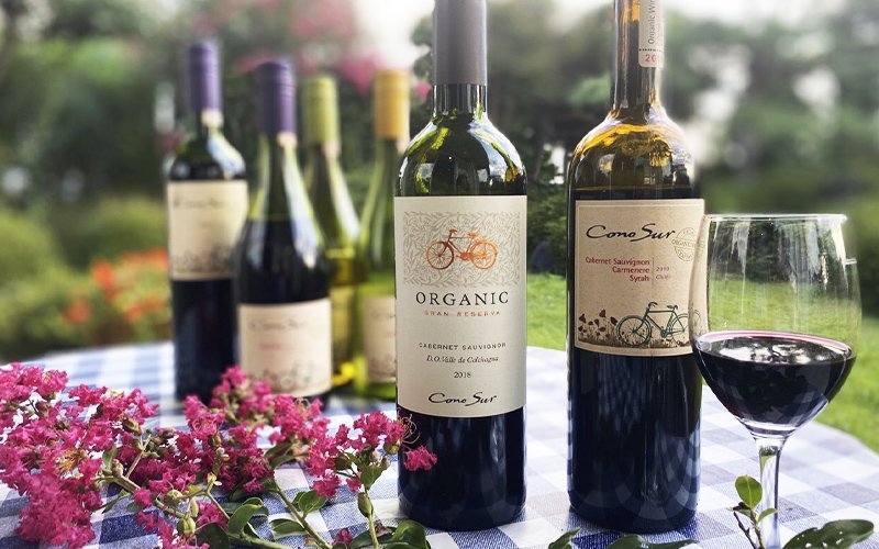 今さら聞けない「オーガニックワイン」をわかりやすく解説 〜環境にも身体にも優しいワインを飲もう！