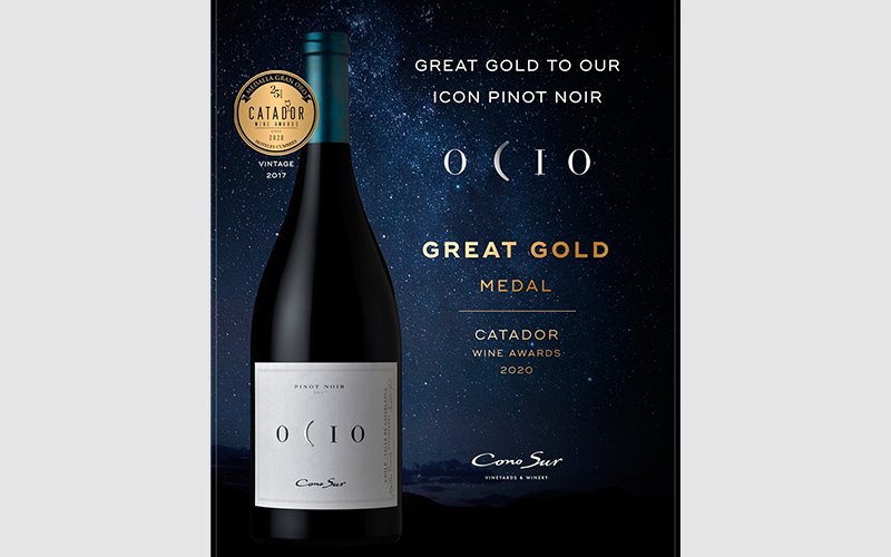 国際ワインコンペティション「カタドール」で、オシオ2017年が最高評価のグレート・ゴールドメダル獲得！