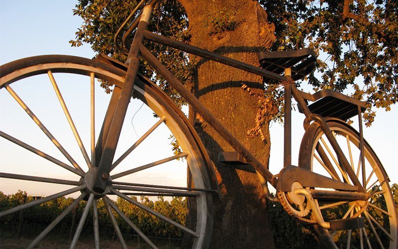 【チャリンコ通信】Vol.2　20バレル・シラーはエルミタージュを超えたか!? （後編） 