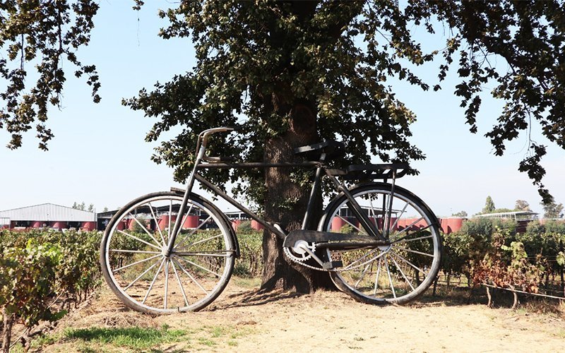 【チャリンコ通信】Vol.1  20バレル・シラーはエルミタージュを超えたか!? （前編）