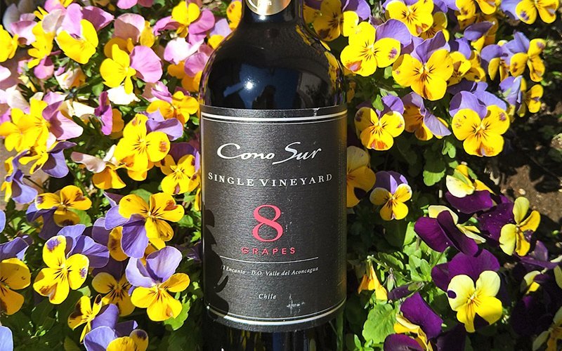 【チャリンコ通信】Vol.3  「オチョ」はコノスルの異端か正統か。 