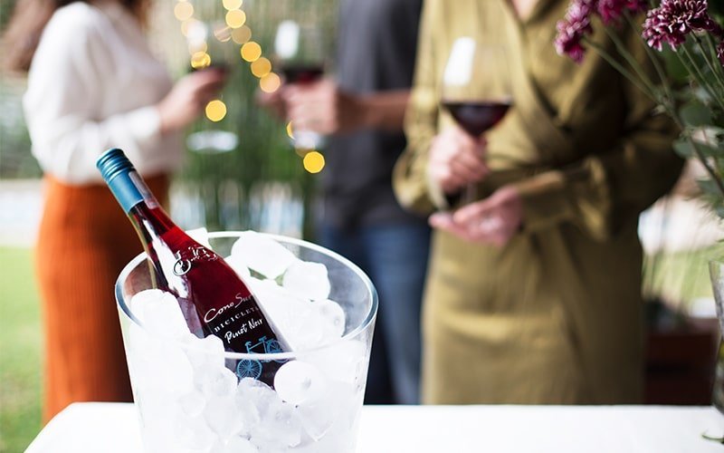 オープンエアで、カクテルベースとして･･･冷やして飲む赤ワイン「ピノ･ノワール クール・レッド」の楽しみ方 