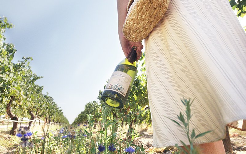 【チャリンコ通信】Vol.7 ワインの裏ラベルとサステイナブル認証