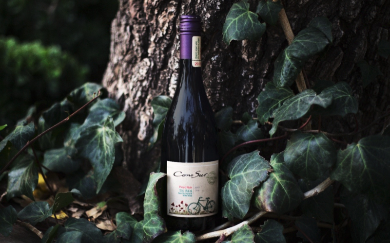 【チャリンコ通信】Vol.8 ブドウ畑の生態系を守るコノスルの取り組み 