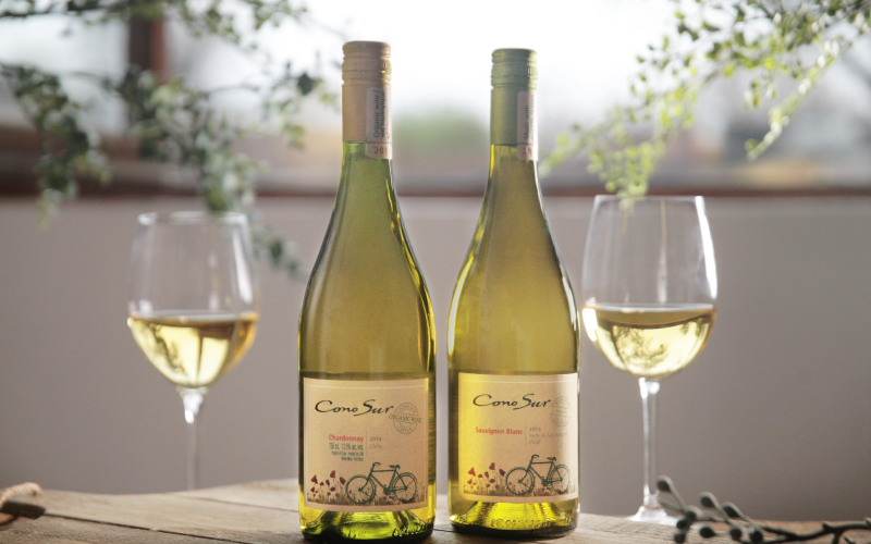 オーガニックワインで心も身体もウェルネスなワインライフを楽しもう！ 