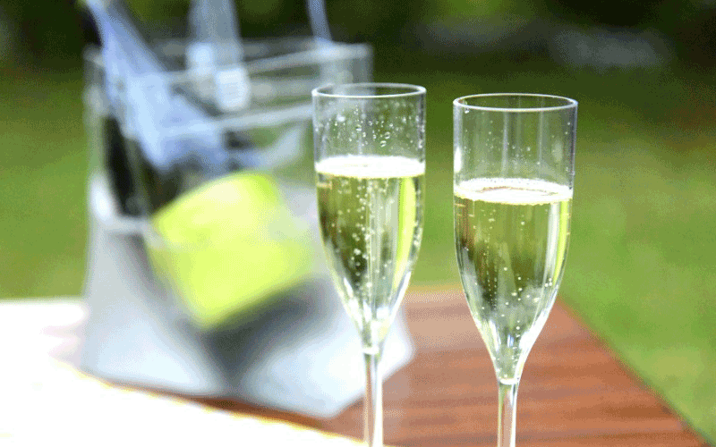 アウトドアが似合うのはどんなワイン？屋外で楽しみたいカジュアルワイン3選