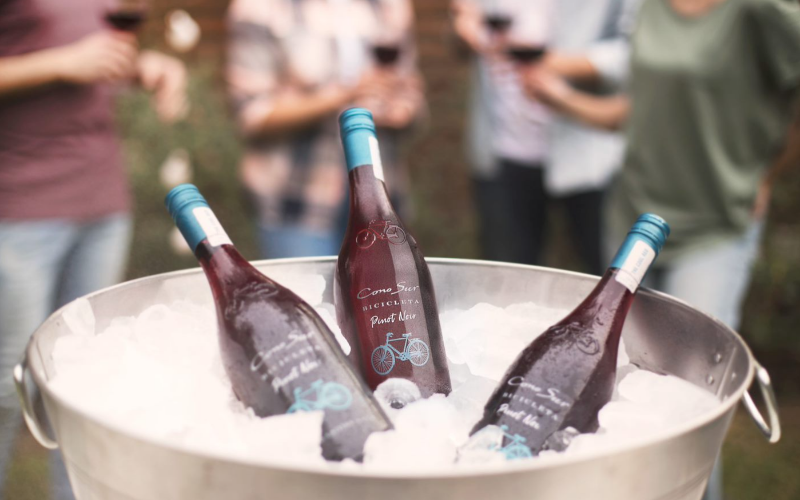夏の特別企画「ワインの新たな楽しみ方」その1         超簡単なのに満足度高し！クールレッドを使った「おうちカクテル」おすすめ4種