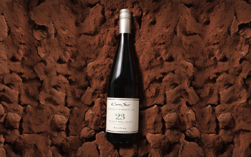 【チャリンコ通信】Vol.13 　マプーチェの地に初めて植えたリースリング 