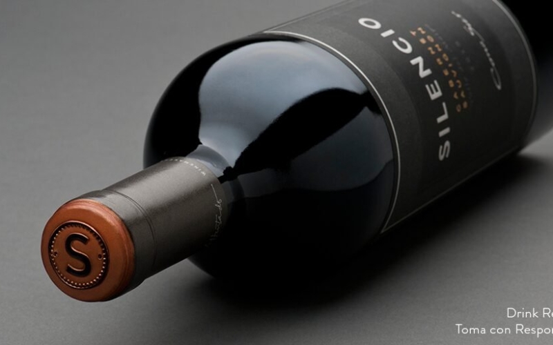 シレンシオ 2013、チリのベスト赤ワインに