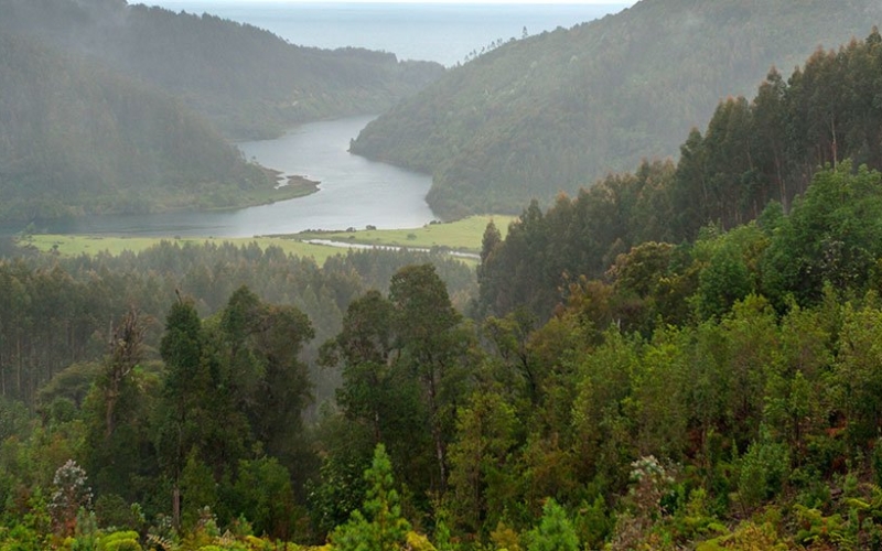 海上輸送による二酸化炭素排出量を削減