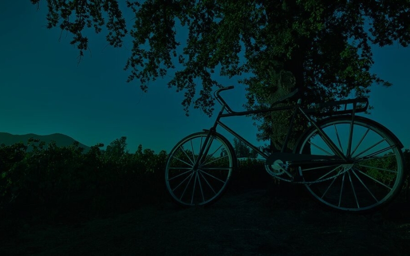 IWSCのチリ・ワイン・プロデューサー・オブ・ザ・イヤーを受賞