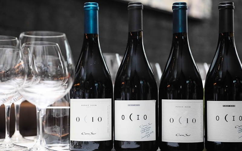 コノスルのワイン醸造責任者がピノ・ノワールの普及のためにアジアを視察