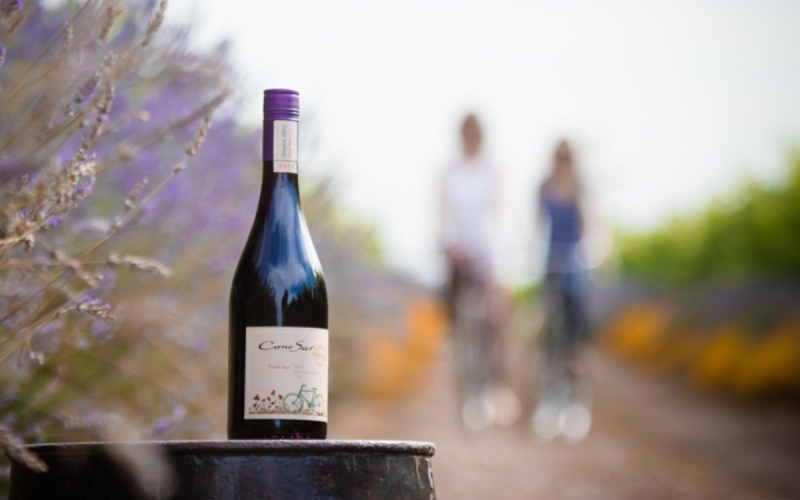 コノスルのオーガニックワインはこうして造られる 