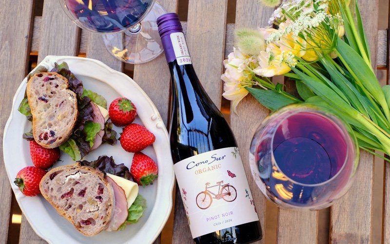 【コノスルのある暮らし】思い立ったが吉日。～春を連れてくる オーガニック　ピノ・ノワール～